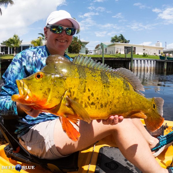 Florida PEACOCK Bass Kayak Fishing